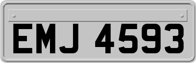 EMJ4593