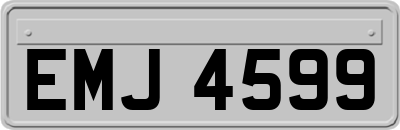EMJ4599