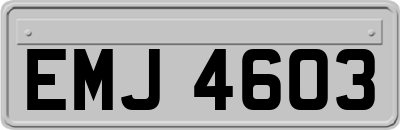 EMJ4603