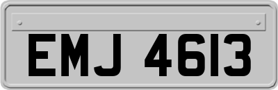 EMJ4613