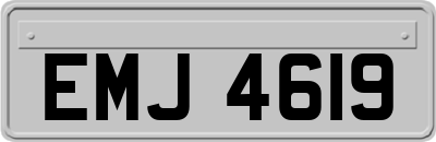 EMJ4619