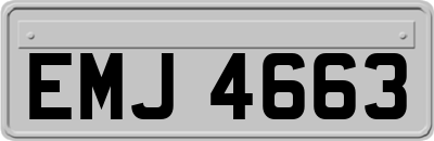 EMJ4663