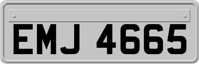 EMJ4665