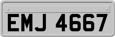 EMJ4667