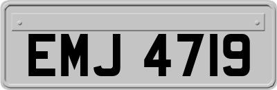 EMJ4719
