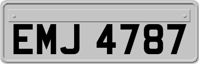 EMJ4787