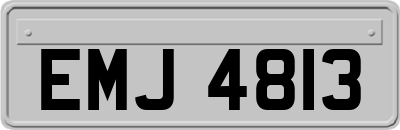 EMJ4813
