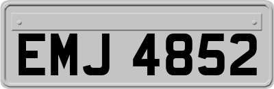 EMJ4852