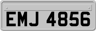 EMJ4856