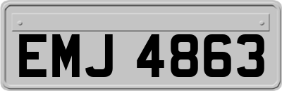 EMJ4863