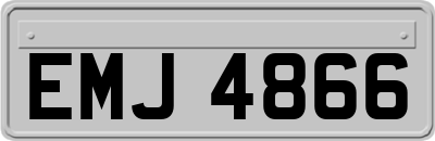 EMJ4866