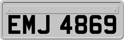 EMJ4869
