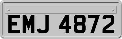 EMJ4872