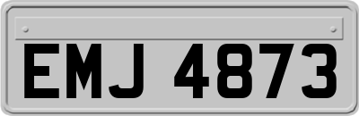 EMJ4873