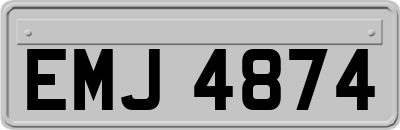 EMJ4874