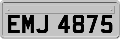 EMJ4875