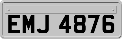 EMJ4876