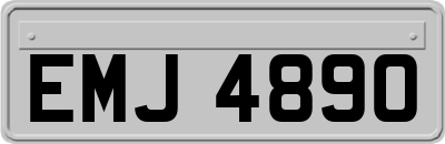 EMJ4890