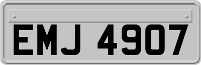 EMJ4907