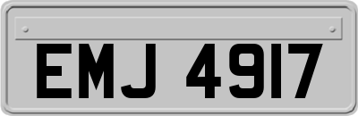 EMJ4917