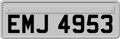 EMJ4953