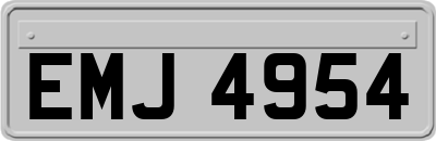 EMJ4954