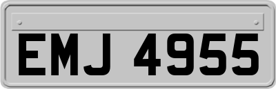 EMJ4955