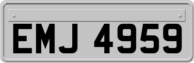 EMJ4959