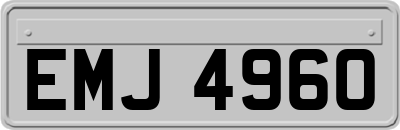EMJ4960
