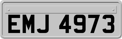 EMJ4973