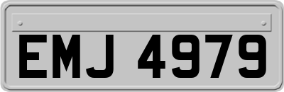 EMJ4979