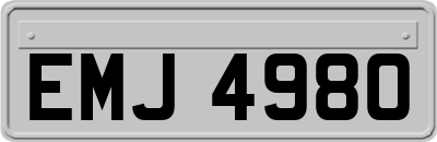 EMJ4980