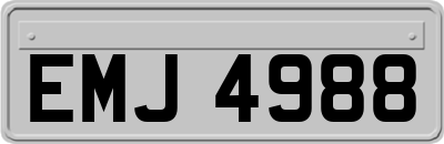 EMJ4988