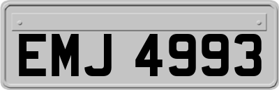 EMJ4993