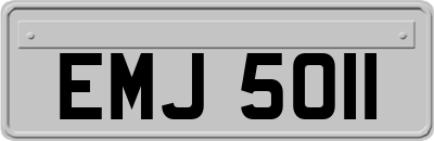 EMJ5011