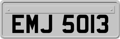 EMJ5013