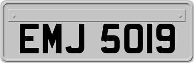 EMJ5019