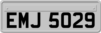 EMJ5029