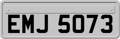 EMJ5073