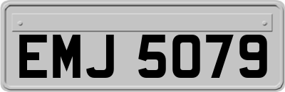 EMJ5079