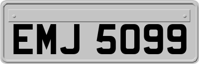 EMJ5099