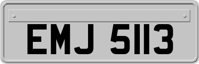 EMJ5113