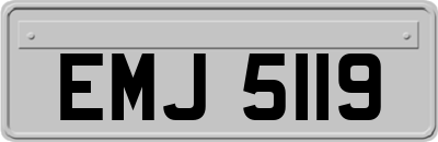 EMJ5119