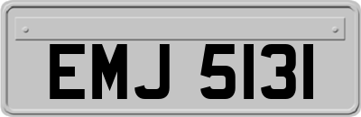EMJ5131