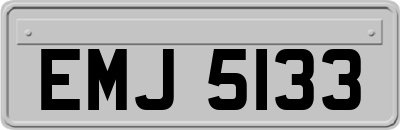 EMJ5133