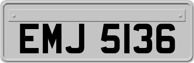 EMJ5136