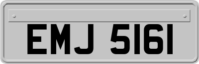 EMJ5161