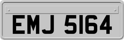EMJ5164