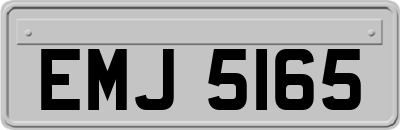 EMJ5165