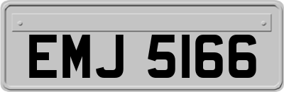 EMJ5166